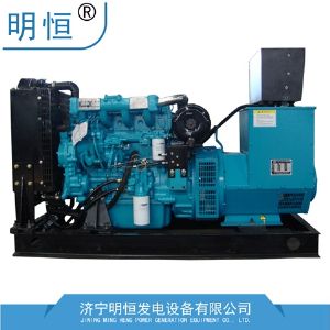 濰柴發(fā)電機(jī)組